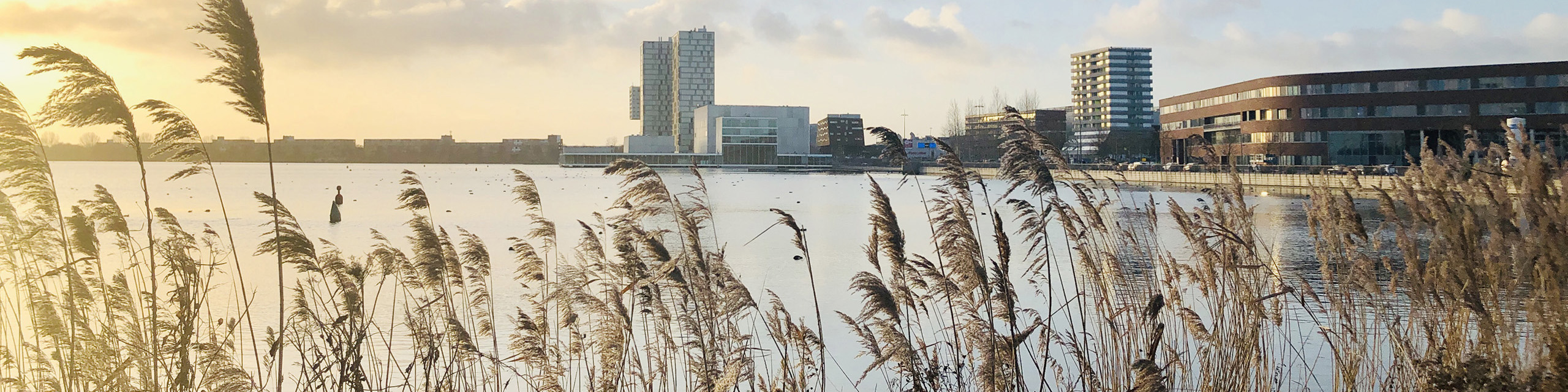 flevoziekenhuis almere